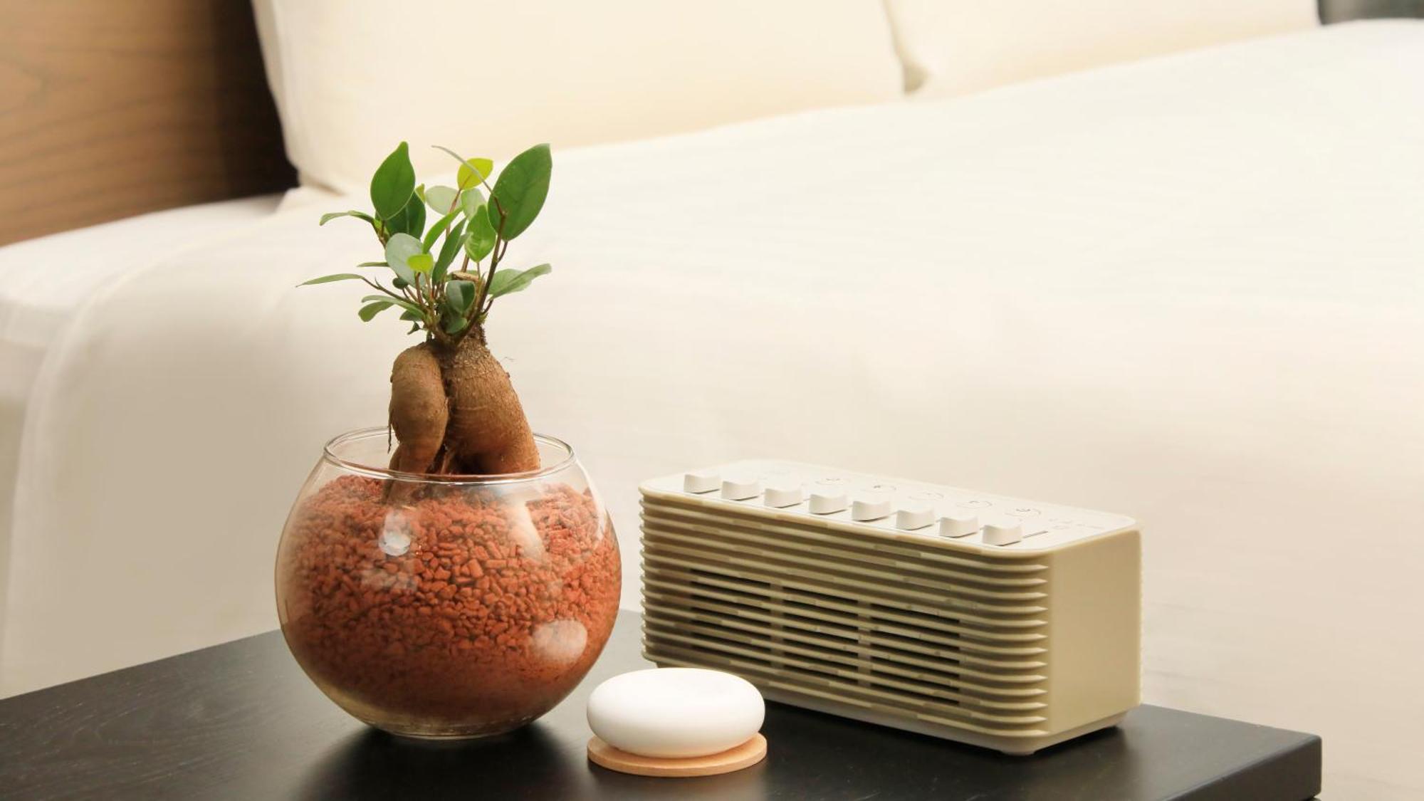 Quintessa Hotel Kokura Comic & Books Kitakyushu Ngoại thất bức ảnh